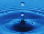 image for the product advertised