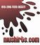 NIU Shirts / Barros Marketing Group