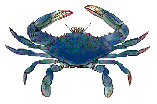 Blue Crab Antiques - Annapolis, MD