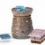 Scentsy Independent Consultant  (Fundaisers)