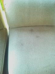 chair_b4.jpg provided by Blue Mountain Carpet Care Pendleton 97801 