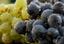 Provided by Mangus Vineyards U Pick Grapes, Burdett 