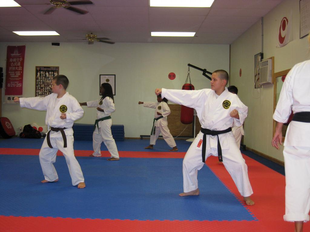 Kansas Seibukan Karate Dojo Wichita KS 67207 3169903774
