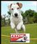 Fetch! Pet Care Pittsburgh South Hills, West Hills and East Pittsburgh