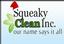 Provided by Squeaky Clean, Inc., Griffin 