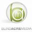 Blind Acre Media