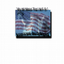 American Liberty Rights LLC