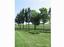 Provided by RHR Farms, LLC operating at Remington Farms (Colorado and Kentucky), Two Locations: in CO 