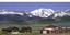 Provided by RHR Farms, LLC operating at Remington Farms (Colorado and Kentucky), Two Locations: in CO 