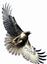 Red Tail Books