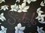 Selah Therapeutic Massage