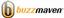 Buzzmaven SEO Internet Marketing