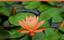 Provided by Yoga Darshana Center, West Babylon 