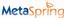 MetaSpring, LLC