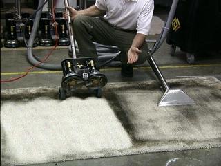 Tampa Carpet Cleaner.jpg