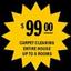 Tampa Carpet Cleaners.jpg