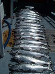 Fun Fleet Charter Co. - La Push, WA