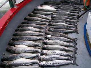 Fun Fleet Charter Co. - La Push, WA