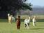 Provided by Maple View Farm Alpacas, Brandon 