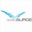 webSURGE, LLC