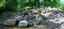 Maple Pond Farm LLC