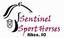 Provided by Sentinel Sport Horses, Windsor 