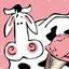The Comfy Cow