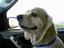 toby-z-website