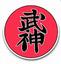 Bujinkan martial arts Green bay 