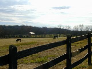 Two Brothers Farms - Mount Juliet, TN