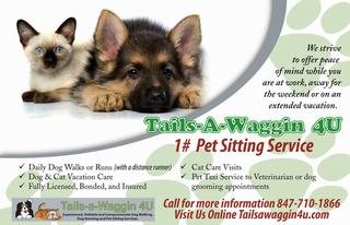 Tails-a-Waggin 4U - Pet Sitter Dog Walker Dog Runner Illinois
