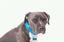 Close to Home Pet Services
