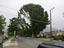 Provided by Craig Crotty-Independent Consulting Arborist, Verdugo City 