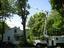 Provided by Arbor Art Tree Service, Shokan 