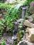 Paradise Gardens, LLC