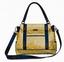 Sweet Caroline's Purse