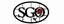 SGO Designer Glass