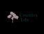 Country Life Tires and Service