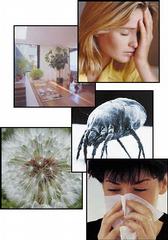 indoor_air_quality.jpg provided by Pro Environmental Services Atlantic ...