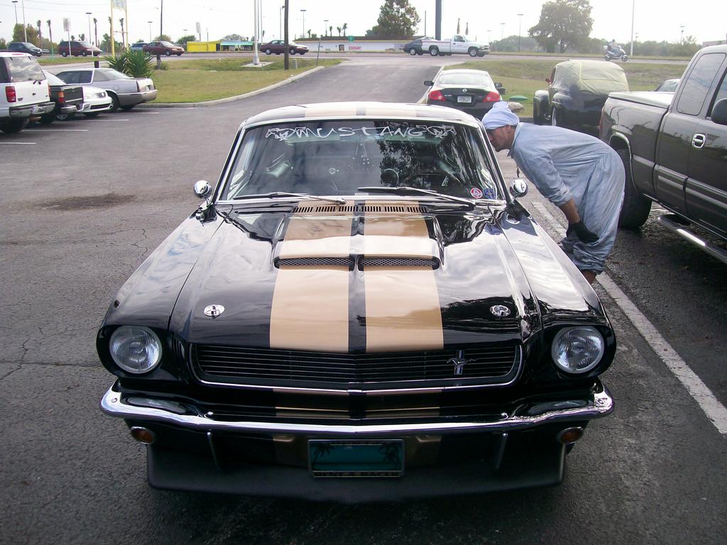 Pictures for Maaco Auto Painting New Port Richey in New Port Richey, FL