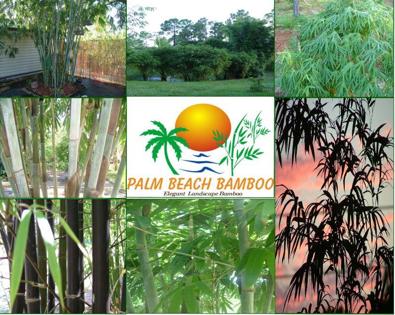Palm beach zoo coupons 2018