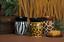Sabrina Lozano- Independent Scentsy...