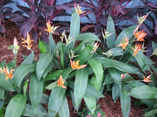 View the entire photo gallery for Sterling Landscaping