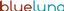 BlueLuna / Boston Web Design