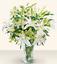 Provided by Send Flowers Charlotte, Charlotte 