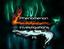 Phenomenon Investigations