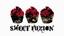 Sweet Fuzion, LLC
