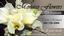 Monaco Flowers & Gift Baskets