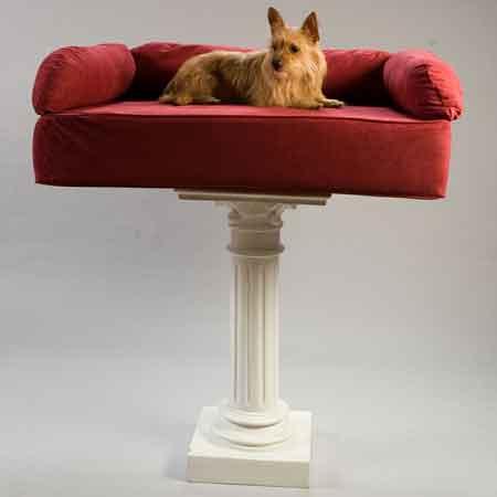 paramus puppy spa 4 legged clothes cat and accessories paramus nj 07652 201 923 4567 paramus puppy spa 4 legged clothes cat and accessories paramus nj 07652 201 923 4567