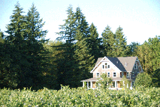 Morning Shade Farm - Canby, OR